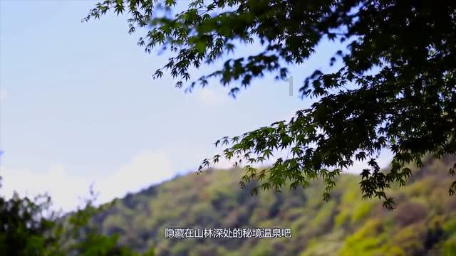包韭菜鸡蛋饺子10人9错，学会这个方法调馅，韭菜翠绿不出水
