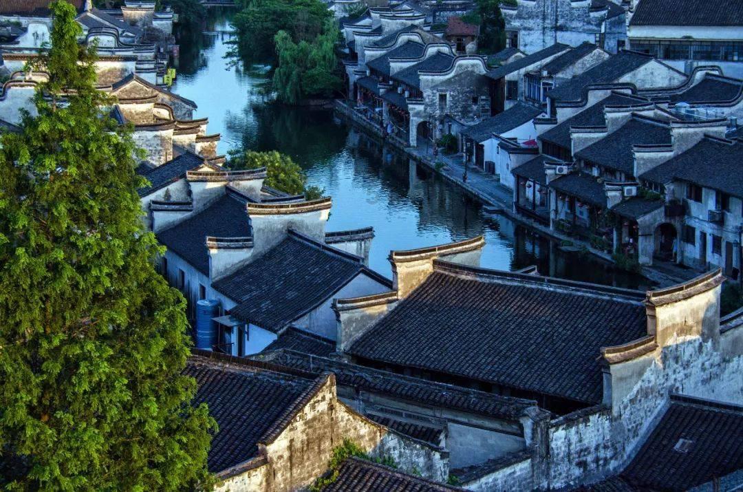 核酸检测管里的红色液体是什么？为啥是红色的？游戏画面